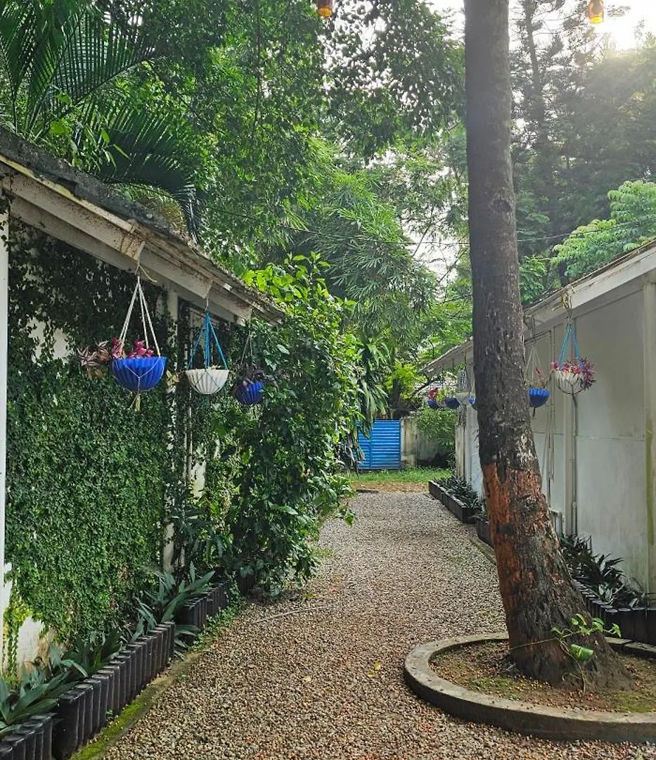 Calaila Premium Plunge Pool Villas Varkala Hotel