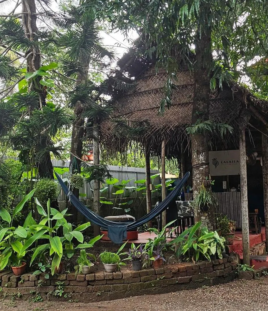 Calaila Premium Plunge Pool Villas Varkala